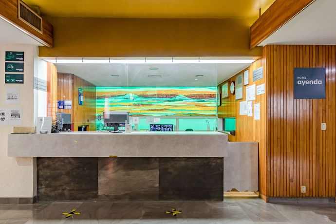 Imagen de los interiores del Hotel Oyo Hidalgo. Foto 18