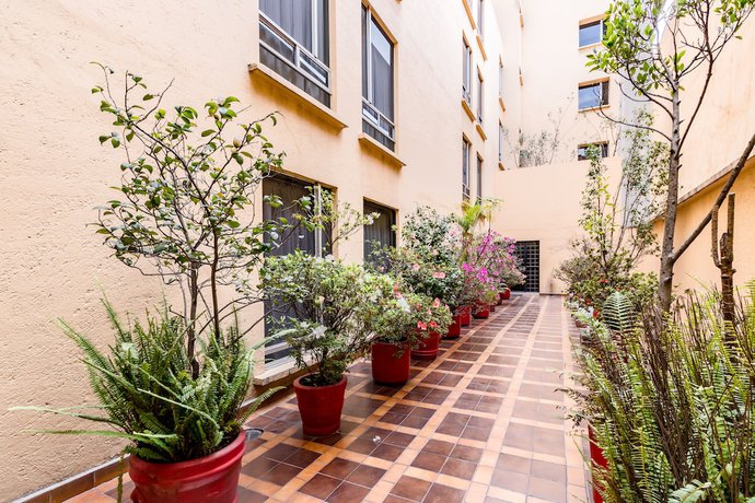 Imagen de los interiores del Hotel Oyo Hidalgo. Foto 21