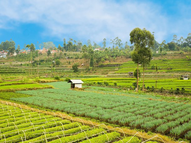 Imagen de los exteriores del Hotel Oyo Homes 90992 Eco Tourism Desa Panundaan Ciwidey Syariah. Foto 17