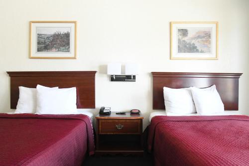 Imagen de la habitación del Hotel Oyo Inn and Suites Medical Center San Antonio. Foto 4