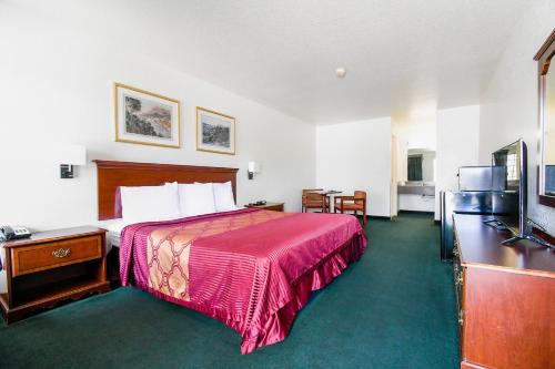 Imagen de la habitación del Hotel Oyo Inn and Suites Medical Center San Antonio. Foto 7