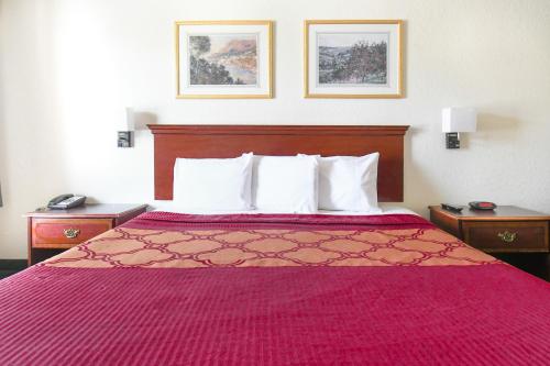 Imagen de la habitación del Hotel Oyo Inn and Suites Medical Center San Antonio. Foto 8