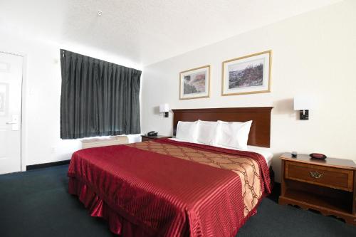 Imagen de la habitación del Hotel Oyo Inn and Suites Medical Center San Antonio. Foto 9