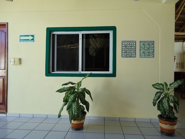 Imagen de los interiores del Hotel Oyo Palma Real. Foto 14