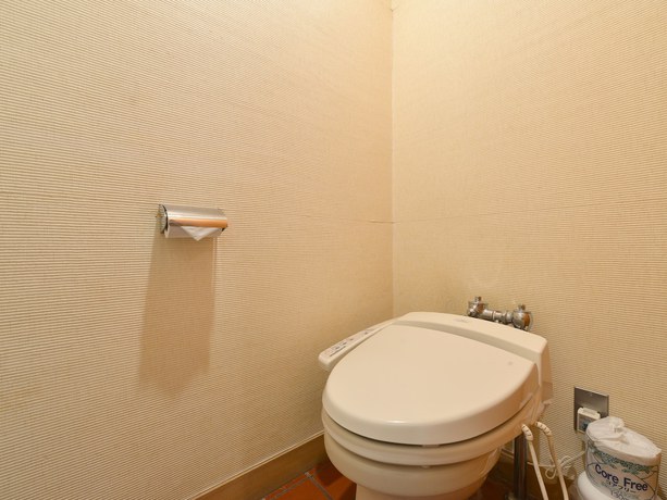 Imagen de la habitación del Hotel Oze Iwakura Resort. Foto 11