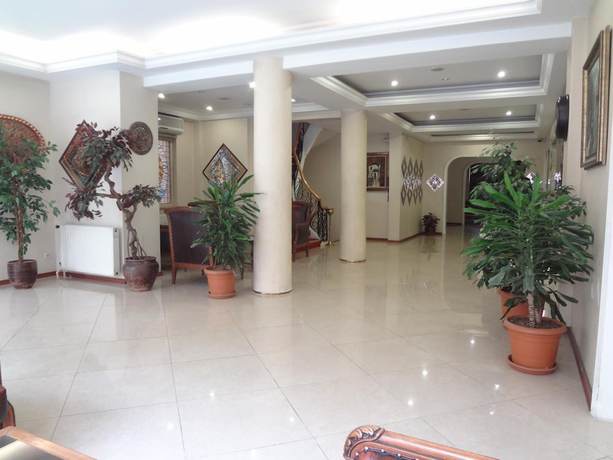 Imagen de los interiores del Hotel Ozilhan. Foto 16