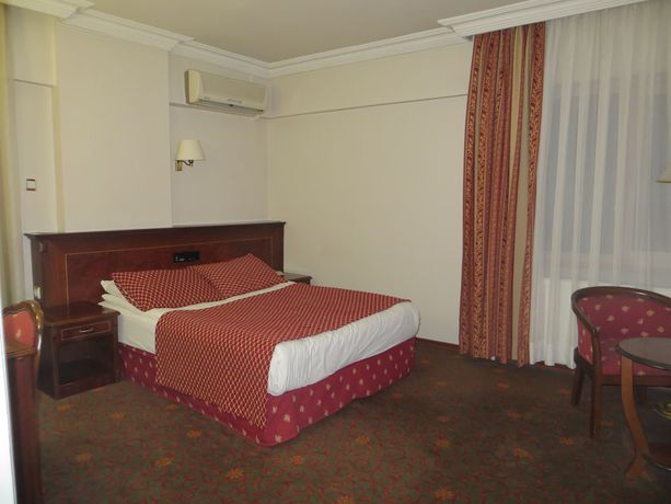 Imagen de la habitación del Hotel Ozilhan. Foto 8
