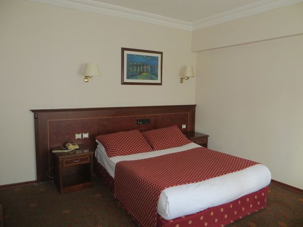 Imagen de la habitación del Hotel Ozilhan. Foto 12