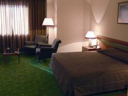 Imagen de la habitación del Hotel Ozkaymak Konya, Konya. Foto 15