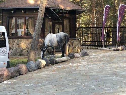 Imagen general del Hotel Ozon Seven Peaks. Foto 3