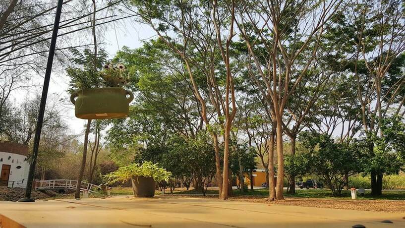 Imagen de los exteriores del Hotel Ozono Resort. Foto 23