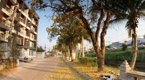 Imagen general del Hotel P Bliss. Foto 14