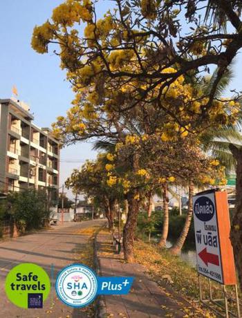 Imagen general del Hotel P Bliss. Foto 16