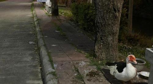 Imagen general del Hotel P Bliss. Foto 19