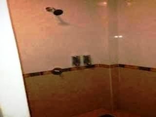 Imagen de la habitación del Hotel P. Guest House. Foto 10