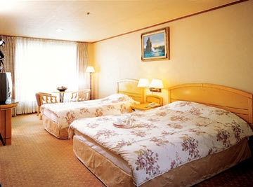 Imagen general del Hotel PALACE, Jeju. Foto 5