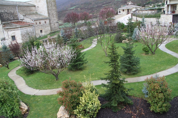 Imagen de los exteriores del Hotel PALACIO DOS OLIVOS. Foto 8