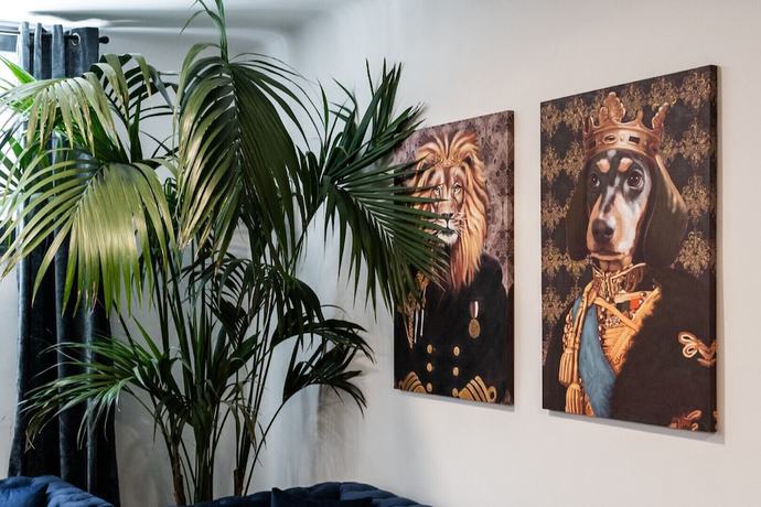 Imagen de los interiores del Hotel PAME Wild. Foto 16