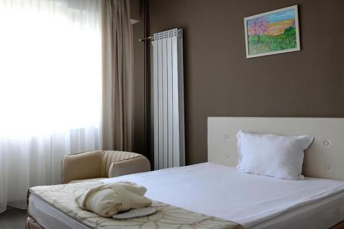Imagen de la habitación del Hotel PARK HOTEL KYUSTENDIL. Foto 14