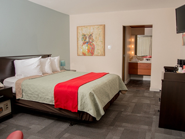 Imagen de la habitación del Hotel PAUL´S MOTOR INN. Foto 8