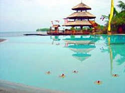 Imagen de la piscina del Hotel PEARL FARM. Foto 8