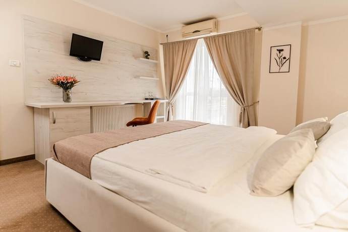 Imagen de la habitación del Hotel PENSIUNEA ELISEI. Foto 6