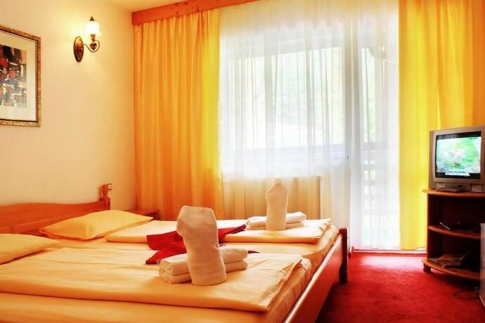Imagen de la habitación del Hotel PENSIUNEA MAI. Foto 17
