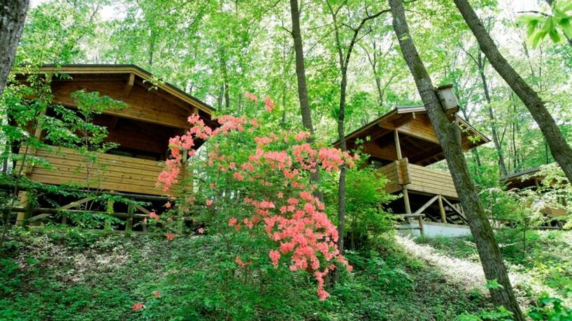 Imagen general del Hotel PICA Chichibu. Foto 31