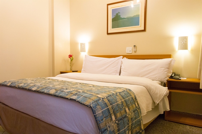 Imagen general del Hotel PLAZA INN PAINEIRAS. Foto 1