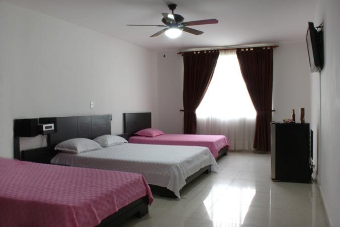 Imagen general del Hotel PLAZUELA SAN IGNACIO. Foto 4