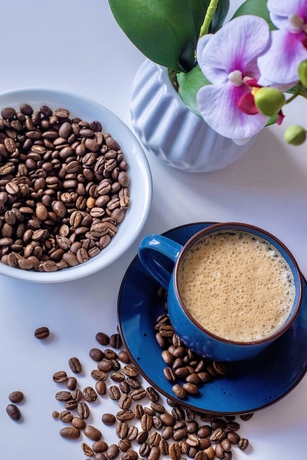 Imagen del bar/restaurante del Hotel POINCOS ECO HOTEL. Foto 8