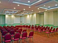 Imagen general del Hotel PRINCE TOWER HOTEL. Foto 6