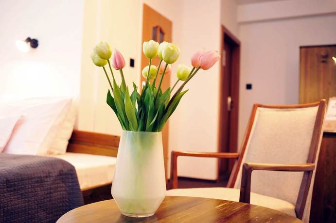 Imagen de la habitación del Hotel PROTEA. Foto 15