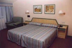 Imagen general del Hotel PUENTE ROMANO, Ourense. Foto 4