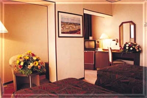 Imagen general del Hotel PULMAN AL-SHAHBA. Foto 6