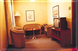 Imagen general del Hotel PULMAN AL-SHAHBA. Foto 7