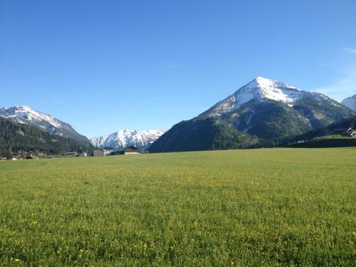 Imagen general del Hotel PUREST Alpine Hideaway. Foto 4