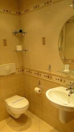 Imagen de la habitación del Hotel Pałac Wiśniewski. Foto 13