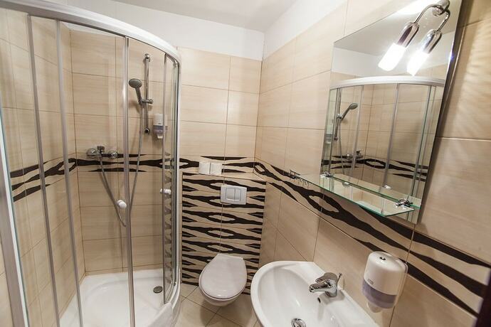 Imagen de la habitación del Hotel Pałac Łazienki Ii. Foto 21