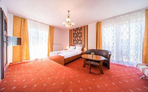 Imagen de la habitación del Hotel Pałacyk. Foto 4