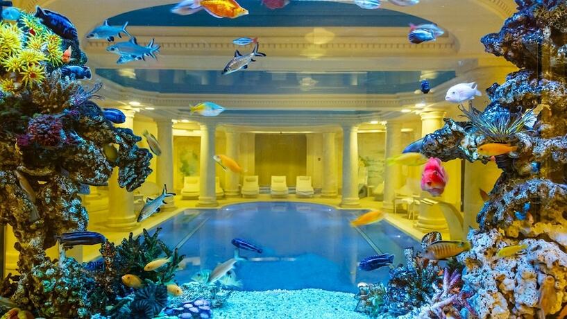 Imagen general del Hotel Pałacyk Otrebusy. Foto 5