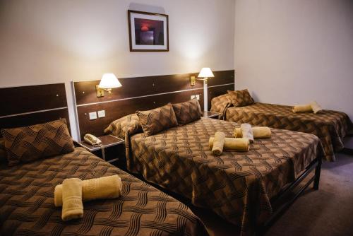 Imagen de la habitación del Hotel Pac&iacute;fico, MENDOZA. Foto 19
