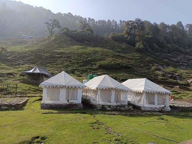 Imagen general del Hotel Pacific Camp Chopta. Foto 6