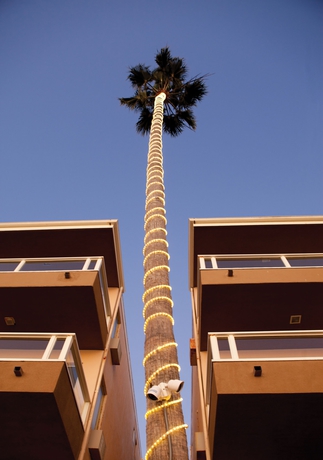 Imagen de los exteriores del Hotel Pacific Edge On Laguna Beach. Foto 7