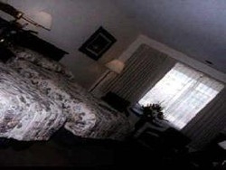 Imagen del Hotel Pacific Inn, Prince Rupert. Foto 3