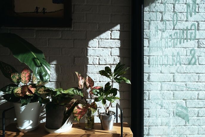 Imagen general del Hotel Pacific Kanazawa. Foto 3