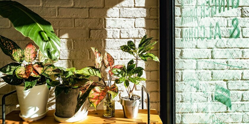 Imagen general del Hotel Pacific Kanazawa. Foto 4