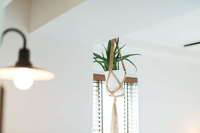 Imagen de la habitación del Hotel Pacific Kanazawa. Foto 24