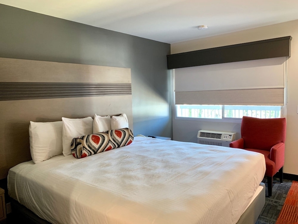 Imagen de la habitación del Hotel Pacific Motor Inn. Foto 8