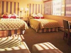Imagen de la habitación del Hotel Pacific Palisades Vancouver. Foto 3